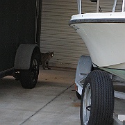 Picture 006